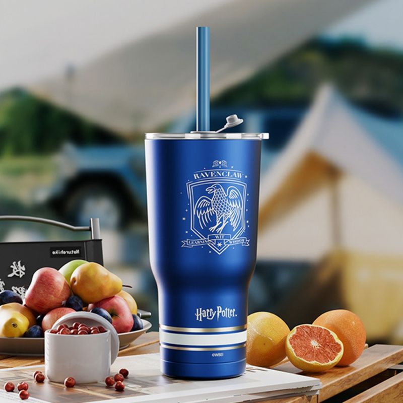 Harry Potter Ravenclaw Steel Tumbler with Charm & Straw 580ml