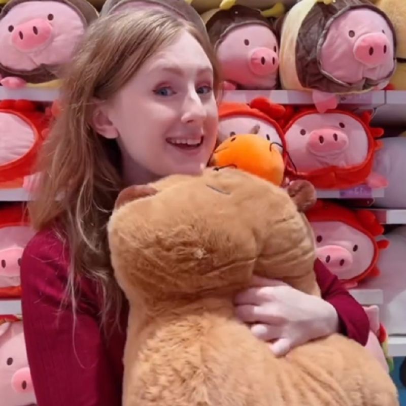 Capybara Standing 50cm Large Plush Soft Toy