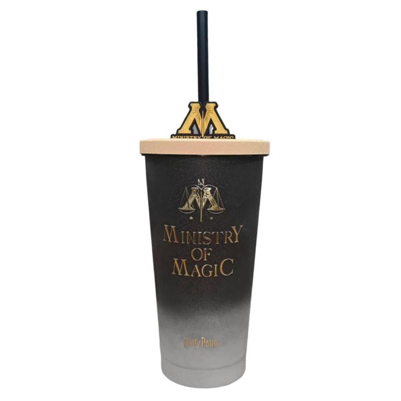 Harry Potter Ministry Of Magic Double Wall Stainless Steel Tumbler 550ml