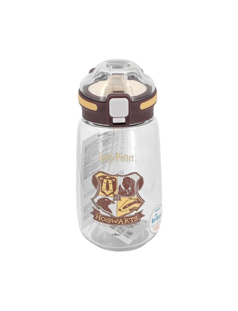 Harry Potter Insulated Bottle With Handle 500ml