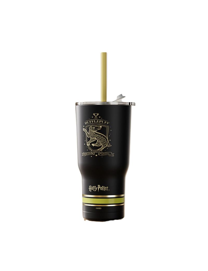 Harry Potter Black Steel Tumbler with Charm & Straw 580ml