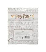 Harry Potter Hair Accessories Set 5 pcs (Hufflepuff)