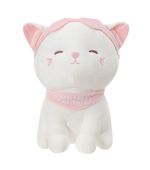 MINISO Kitten 10 Inch Plush Soft Toy