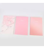MINISO Rose Gold Series A5 32 Page Stitch Bound Notebook Set Of 3