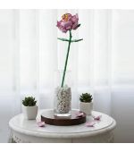 MINISO Multiflora Rose Building Blocks