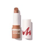 MINISO Minimalist Chic Everyday Shade Velvet Lipstick Shade 11