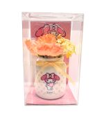 Sanrio My Melody Air Freshener & Ornament Set