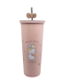 Sanrio Hello Kitty Stainless Steel Tumbler with Straw 800ml