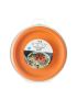 Colourful Picnic Plate 