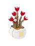 MINISO Toys Flower Language Series Succulent Fantasy Angel Plants Building Blocks