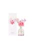 Floral Series 2.0 Reed Diffuser Hyacinth 100ml