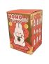Momo Bunny Wish Blind Box 