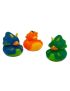 Dinosaur Rubber Ducks Set Of 3