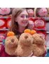 Capybara 28cm Standing Plush Soft Toy 