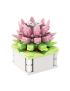 Flower Language Series Succulent Plants Building Blocks Love Song of Herbs