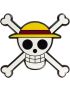 One Piece Skull Magnet