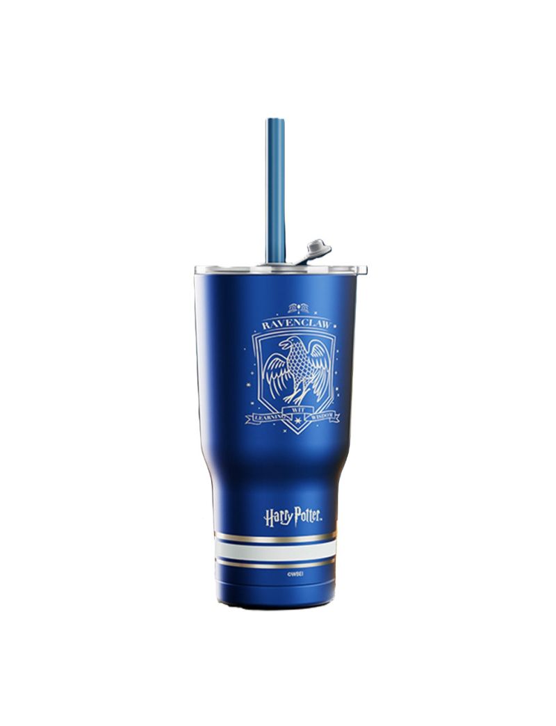 Harry Potter Ravenclaw Steel Tumbler with Charm & Straw 580ml