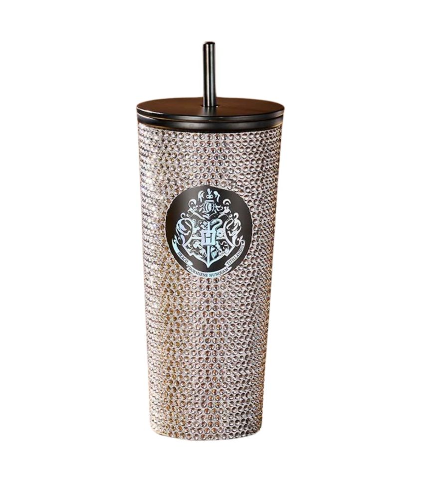 Harry Potter Silver Studded Steel Tumbler 650ml With Straw