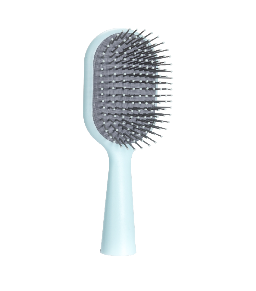 Cushion Hair Brush
