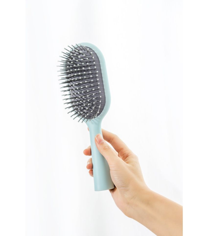 Cushion Hair Brush