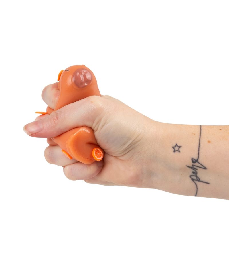 Scrunchems Sticky Squishy Capybara Fidget Toy 