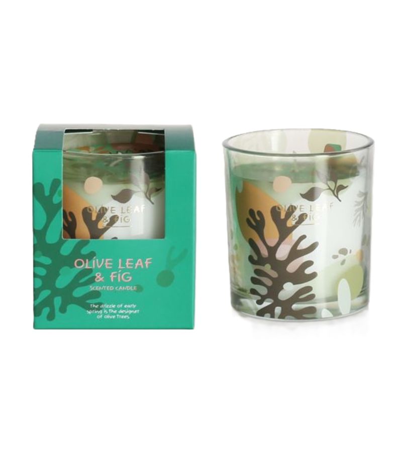 MINISO Nice Series Olive Leaf & Fig Scented Candle