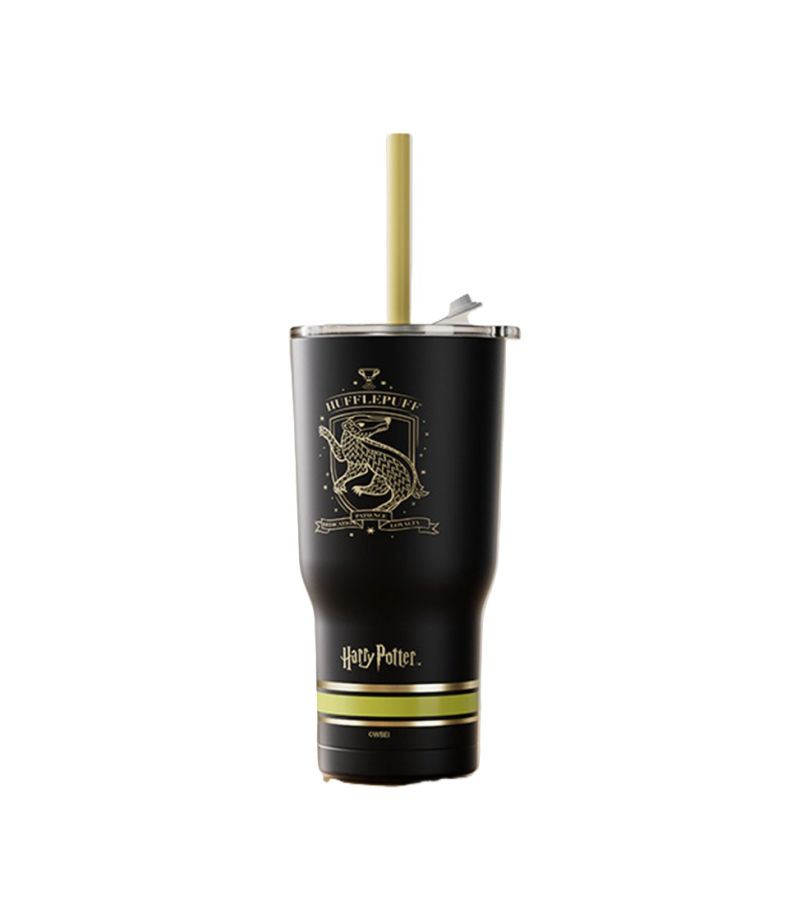 Harry Potter Black Steel Tumbler with Charm & Straw 580ml