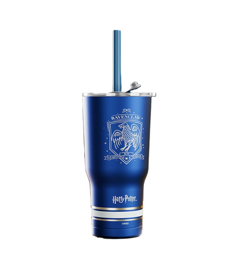 Harry Potter Ravenclaw Steel Tumbler with Charm & Straw 580ml