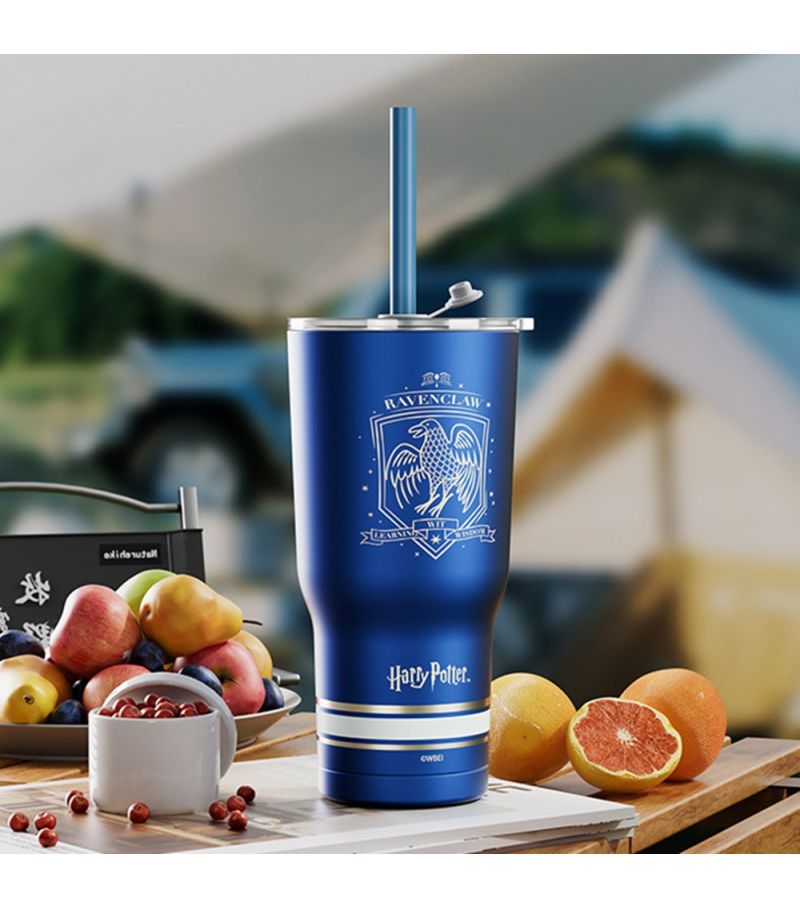 Harry Potter Ravenclaw Steel Tumbler with Charm & Straw 580ml