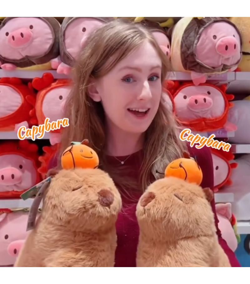 Capybara Collection Sitting 30cm Plush Soft Toy