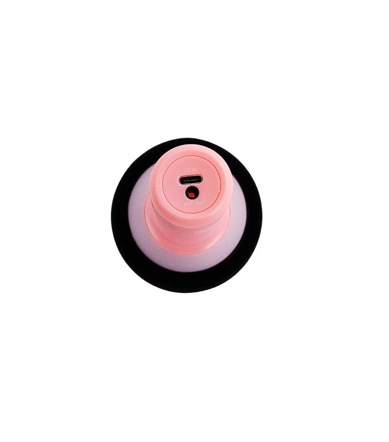Sanrio My Melody Karaoke Microphone