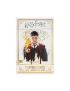 Harry Potter Playing Cards PDQ