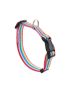 Coloradio - Rainbow Dog Collar 