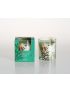 Nice Series Scented Candle(Olive Leaf & Fig)