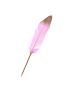 Pink Feather Quill Pen  