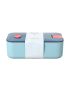 MINISO Blue Nordic Bento Box