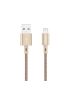 Fast Charge Cable - Gold