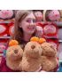 Capybara 28cm Standing Plush Soft Toy 