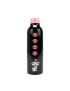 Kuromi Steel Water Bottle